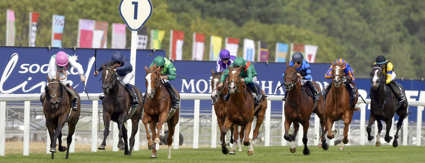 25.07.2026, Ascot, Kalpana with Colin Keane up wins the King George and Queen Elizabeth Stakes at Ascot racecourse, GB. Photo GALOPPFOTO/Racingfotos.com