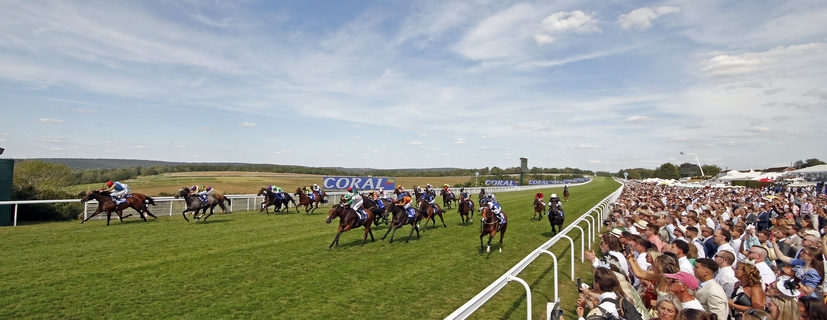 EVENING SAIGON (far left, James Doyle) wins The Coral Stewards Cup Goodwood 1 Aug 2026 - Pic Steven Cargill / Racingfotos.com