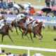 SUN GODDESS (Ryan Moore) wins The Harry's Half Million by Goffs York 20 Aug 2026 - Pic Steven Cargill / Racingfotos.com